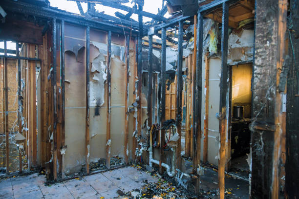 Professional Smoke Damage Removal technician working in Henderson, MN