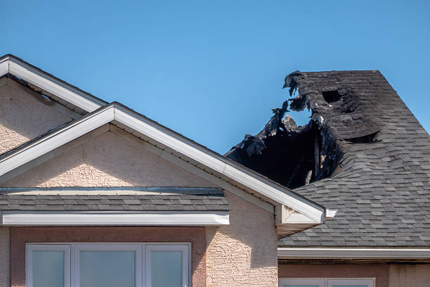 Top rated local Smoke Damage Removal specialists in Henderson, MN